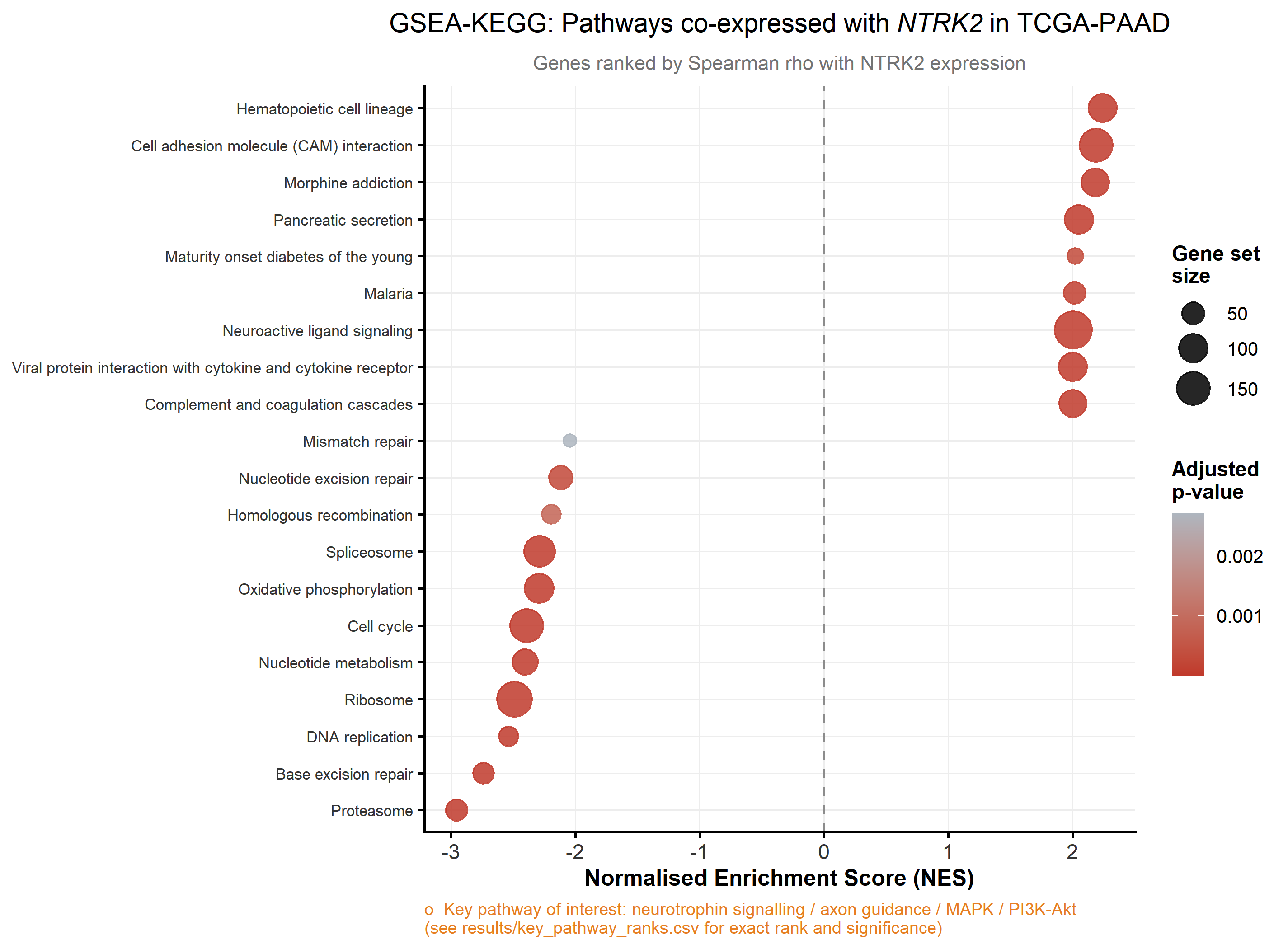 Dotplot of enriched KEGG pathways from GSEA
