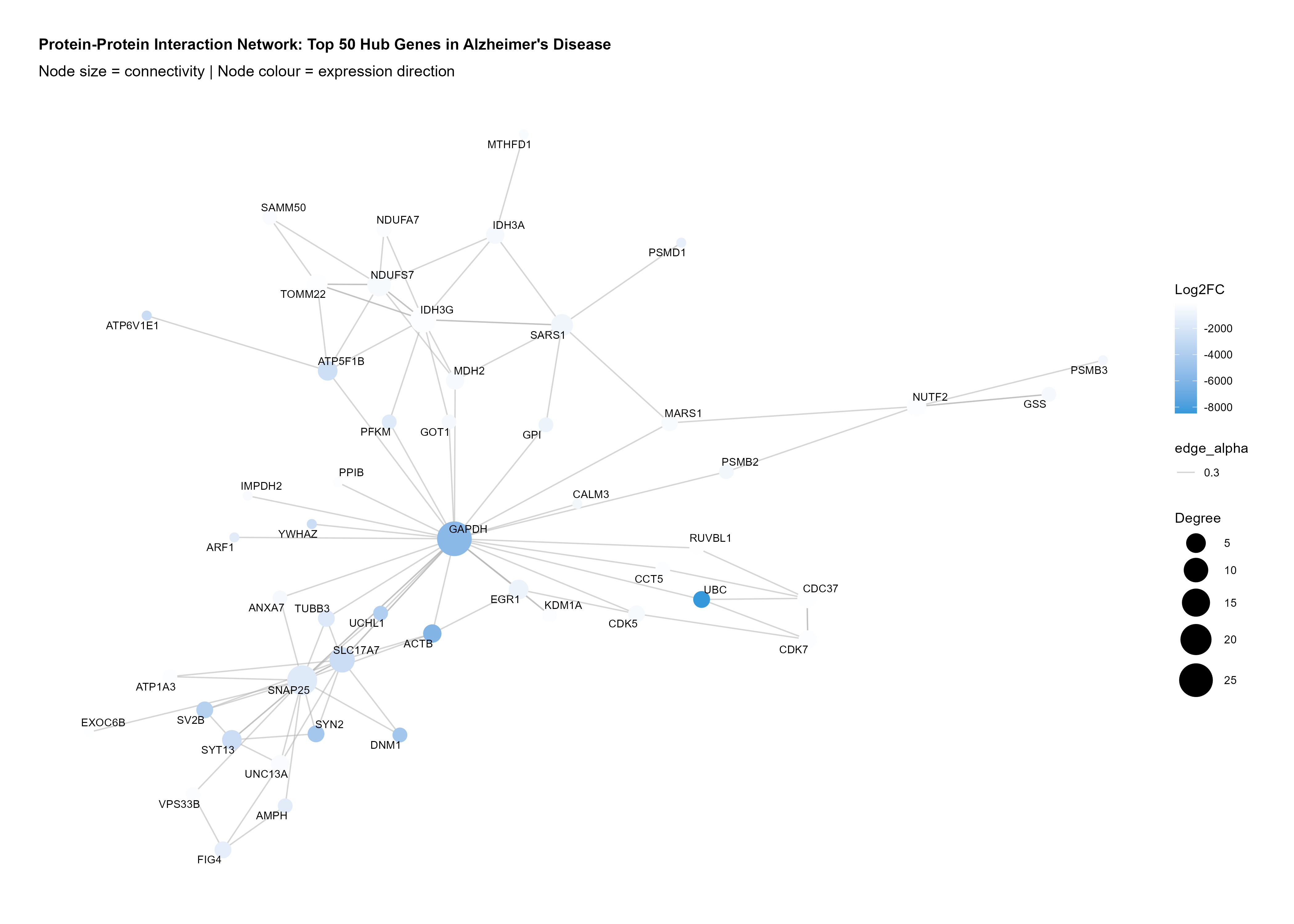 Gene co-expression network with hub genes highlighted